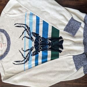 Boys sweater